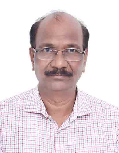 Image of Principal Consultant